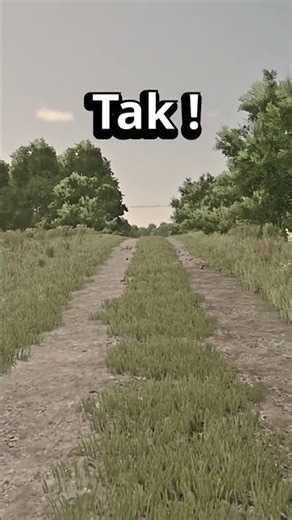 ☆MŁYN ZBOŻOWY☆FS25☆ #shorts #fs25 #funny