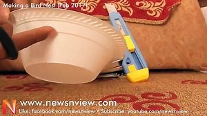 How to Make Bird Nest | Make a bird nest with paper plates | How to Make Real Nest