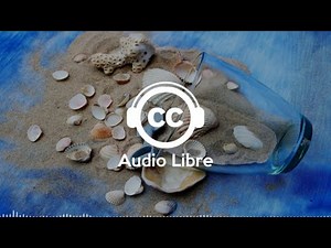 Musique Gratuite Joyeuse Nature Libre de Droits Dynamique House Tropicale | Tom Spander - Avian