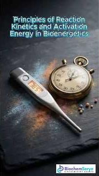 Principles of Reaction Kinetics and Activation Energy in Bioenergetics