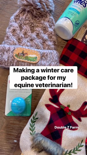 Being a horse veterinarian is a really tough job, both mentally and physically. Let’s all show our vets some love this holiday season! After all, they work their butts off to keep our beloved horses healthy! #horses #horsefarms #horsevet #veterinarian #horselove #horsebarn | Double Z Farm