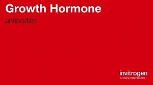 Growth Hormone antibodies from Thermo Fisher Scientific