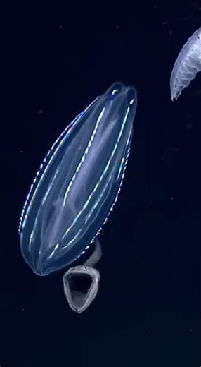 Scientists Discovered a Dimension Where Physics Don't Exist 🌌✨