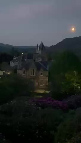 From dawn to dusk, and season to season, the hills transform, the light shifts, and the air hums with birdsong drifts through the window and the flowers blooms in silent rhythm. This is Wellwood Manor 1881, Pitlochry, Scotland — 4.00 am. May 2025 where nature never repeats herself, **“One location. One window. A thousand landscapes. Beauty becomes a moving picture masterpiece #wellwoodmanor1881 #scotland #pitlochry #visit #manor #Highland #lifestyle #country #popularvideo #popular #UK #nature #t