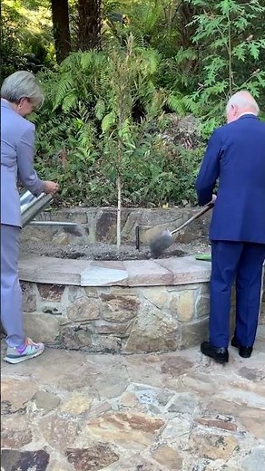 King plants water gum at National Botanic Gardens