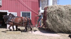 Putting up Loose Hay From the Field to the Mow — Here's some rough footage from my afternoon at John Davis's farm where John regularly puts up loose hay using horse power. Watch for an episode on Rural Heritage on RFD-TV this fall. | Rural Heritage Magazine