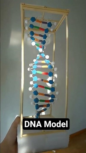 DIY 3D DNA Structure Model Tutorial | Creative Biology Exhibition Project
