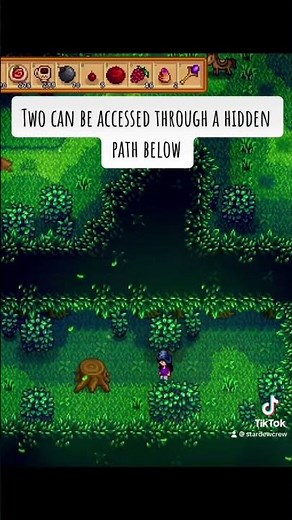 How to get Hardwood in Stardew Valley 🪵