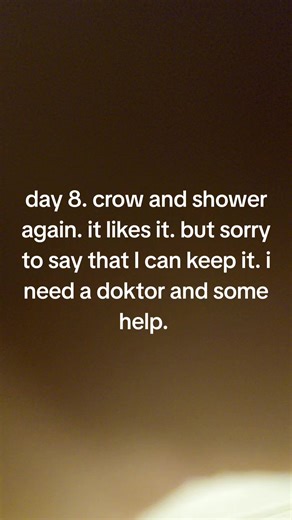 Ken Roger Nilsen (@ken.roger.nilsen)’s videos with original lyd - Ken Roger Nilsen