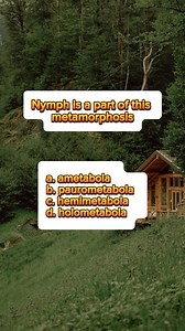 12K views · 107 reactions | Important Notes to Help You Answer This...