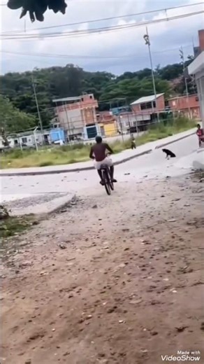 I'm going to catch the raccoon 🦝 #funnyvideos #forronotiktok #viral_tiktok #followers #subscriber...