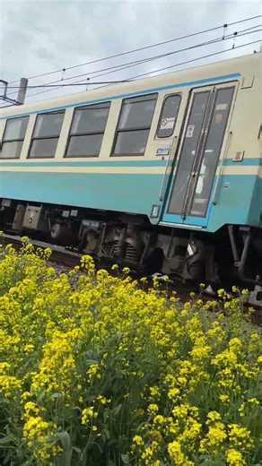 #shorts JR四国 キハ32形 某所にて