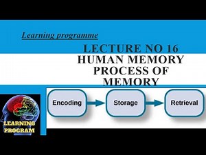 Human memory and process of memory #encoding,storage,retrival #learningprogramme