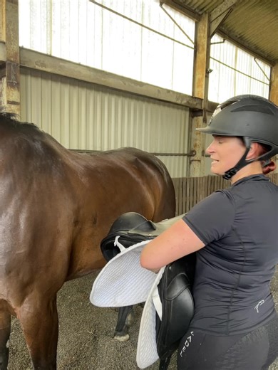 Today we’re looking at correct saddle placement!👏 Key points: 👉 Place it slightly further forwards and slide the saddle back. Never slide it forwards as this can pull on hairs and potentially cause sores. 👉 Your saddle should sit 3 fingers behind your horses shoulder, and should never sit past T18!❌ We must also apologise for Gios excitement during filming🫣 Let us know what questions you want answering in the comments!👇 . . . #thesaddlebank #saddle #saddles #saddlefit #saddlefitter #saddlep