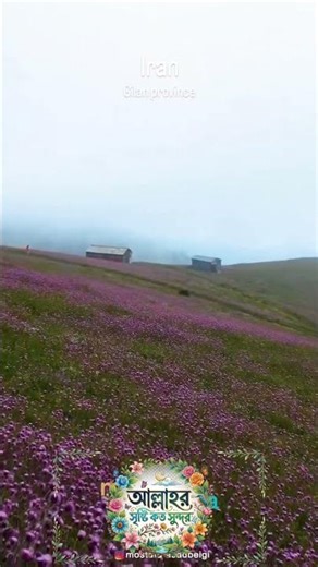 The Beauty of Iran in 30 Seconds 🇮🇷 #Iran #BeautifulIran #IranTravel #TravelShort