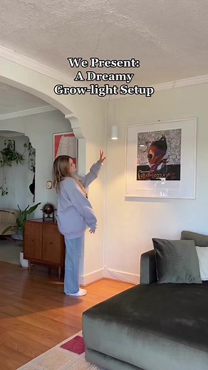 Dreamy Grow-Light Setup for Aesthetic Plants
