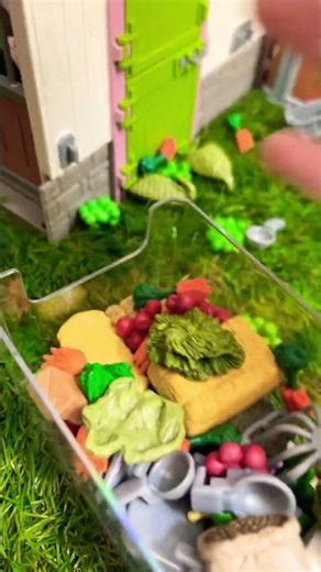 Organizing schleich accs!