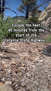 Head to Mount Lemmon to beat the heat this summer. Here is a great trail 45 minutes from the start of the Catalina Highway. Lemmon Rock Lookout Trail #12 | Tucson, Coronado National Forest It’s a challenging trail and you get a bit of history high up on Mount Lemmon. Start at the Mount Lemmon Day Use Area by the UA Observatory Head down Mount Lemmon Trail #5 before turning left onto the Lemmon Rock Lookout Trail #12, just below the tower The Lemmon Rock Lookout Tower was crucial during the Aspen