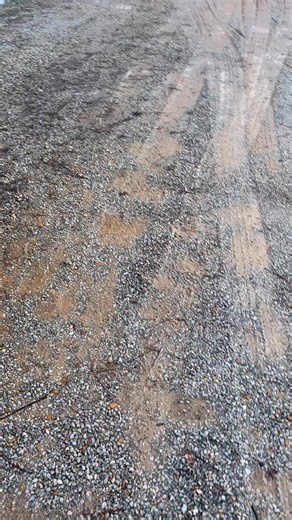 Rachel Lewis on Reels