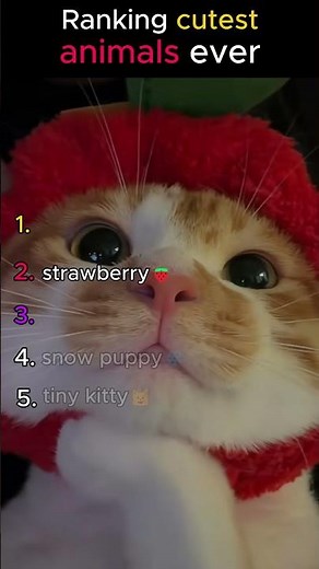 Top 10 Cutest Animals in the World (Ranked!) #CuteAnimals #AnimalRanking #short #Animals #CutePets