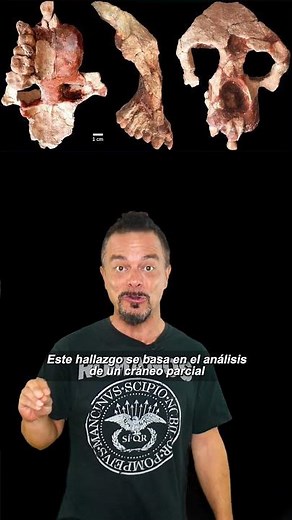 A New Fossil Rewrites the History of Our Ancestors: Hominids Originated in Europe