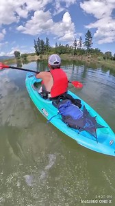 Here’s a short video clip of me kayaking down the Shuswap River. Hopefully you’re able to see the modifications I did to my kayak paddle. It’s a pretty simple adaptation of two steel rings that I can fit my arms/stumps into, welded onto a bracket shaped to the shaft of the paddle and fastened on with a hose clamp. I’ve wrapped the rings with hockey stick tape and coated them with stick wax which helps from rubbing my arms raw after a long trip. The modifications were done by a good friend of min