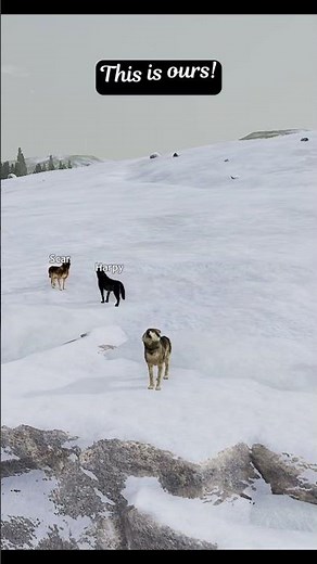 Arriving at Hellroaring Mountain! ⛰️ #wolfquest #exploringthesaga #wolfgame