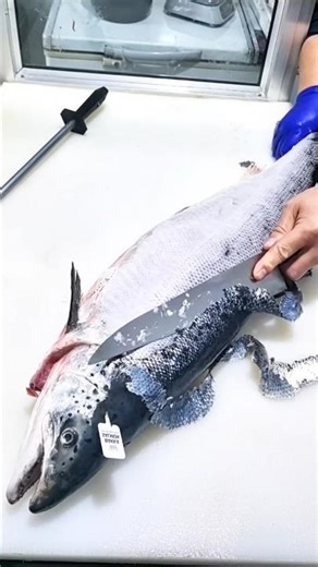 Amazing Giant Salmon Filleting Skills | Fast & Satisfying Fish Cutting #fishfilleting #satisfying