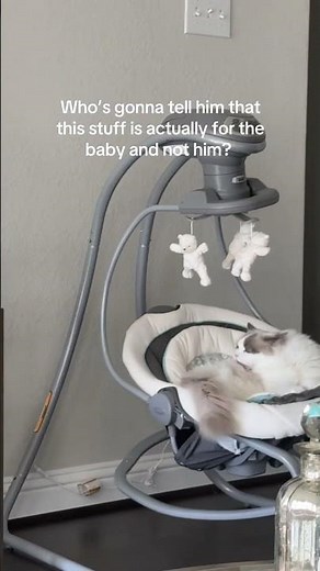 Cat Hijacks Baby's Swing