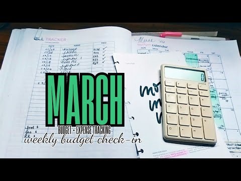weekly budget check-in (March 15-21) | paycheck budget and expense tracking