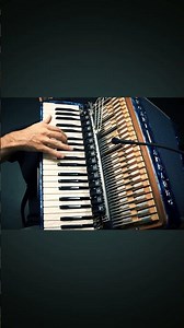 amazing insight into the accordion while I'm playing "dizzy fingers" #music #accordion #instrument