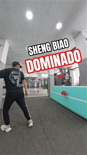 He Dominado el Rope Dart (Sheng Biao)