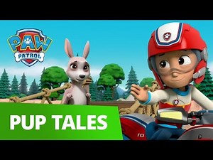 PAW Patrol - Pups Save a Kangaroo - Rescue Episode - PAW Patrol Official & Friends!