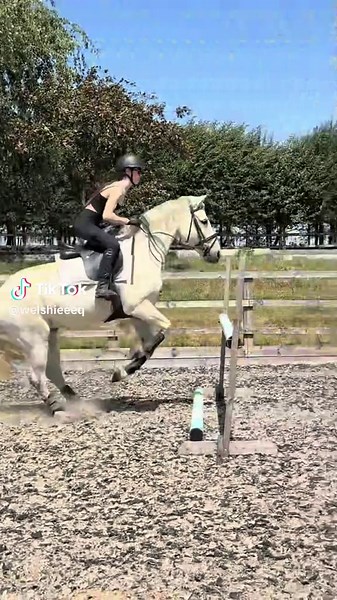 Creative DIY Project Failures and Fixes