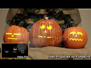 Day O - sample of Singing Pumpkins Effect
