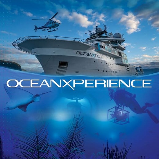 OceanXperience | Flying Fish | Touring Exhibition