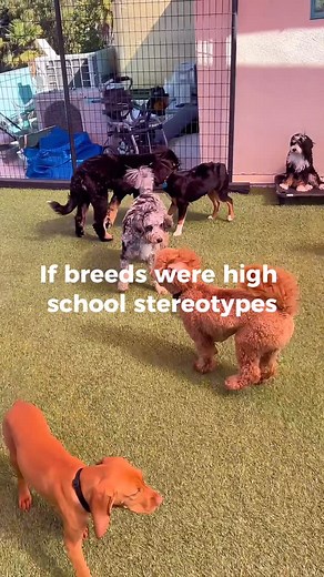 Welcome to PAL high!! | Play and Learn