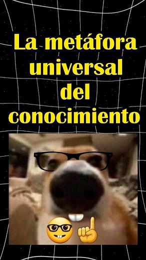 La metáfora universal. 👀 #escribiresvivir #español #linguistica #leeresvivir #gramatica #humor | Español con Icma