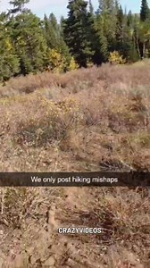 Too close 💀 | Crazy Videos