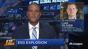 ESG sees record inflows amid pandemic. One leading issuer on the theme's staying power