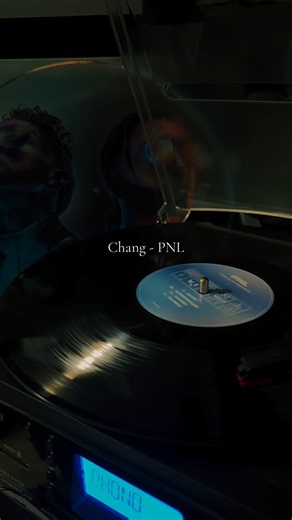 ꜱɪᴍʙᴀ 🦁 on Instagram: "Chang ❤️ #pnl #qlf #chang #nos #fyp"