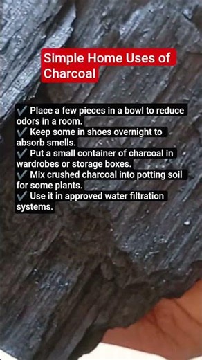 Benefits of Charcoal and Simple Home Uses 🖤