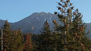 Mount Shasta at sunrise with tranquil forest view in Shasta, California