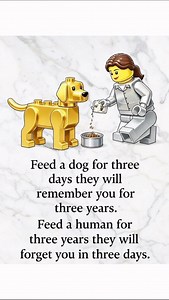 Dogs Never Forget, Humans Always Do | LK Logic