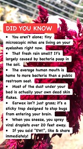 Your Body Is Kind Of Gross 🤢 #biology #humanbody #weirdfacts | Amazing Facts
