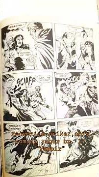 recenzija br.17 zagor