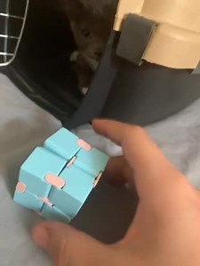 Watch Infinity cube on Amazon Live