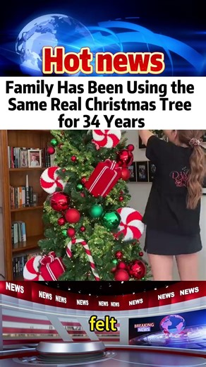 Family Has Been Using the Same Real Christmas Tree for 34 Years