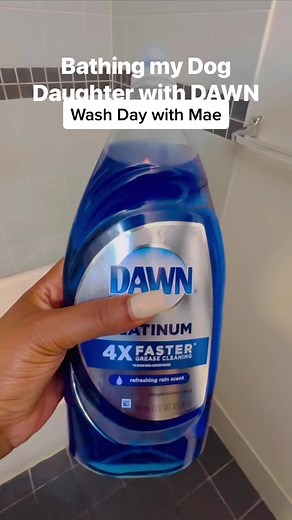 Using Dawn Dish Soap to Wash Your Dog: Tips and Tricks