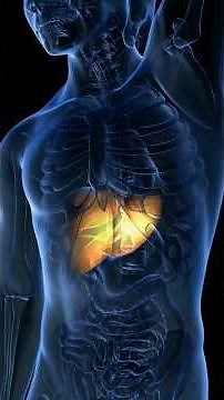 What Happens When Your Liver Gets Too Big?